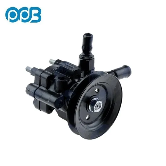Hydraulische Servolenkungspumpe für Ford OEM 2L3z3a674aarm 2L3z3a674carm F65z3a674AA /F5RC3a674CB 3915088